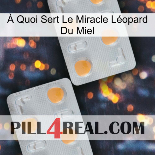 À Quoi Sert Le Miracle Léopard Du Miel 25.jpg